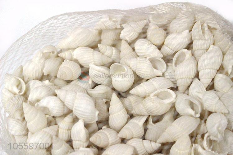 Wholesale Natural Shell Fashion Shell Craft