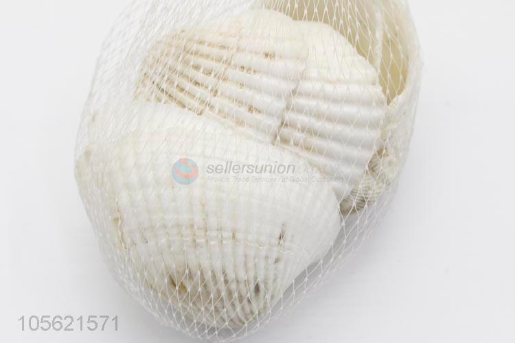 Top Sale Seashells Decorations Scallop Shells Crafts Decor Ornament