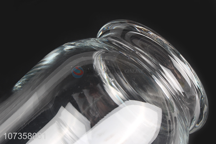 Low price clear glass flower vase hydroponics plant containers
