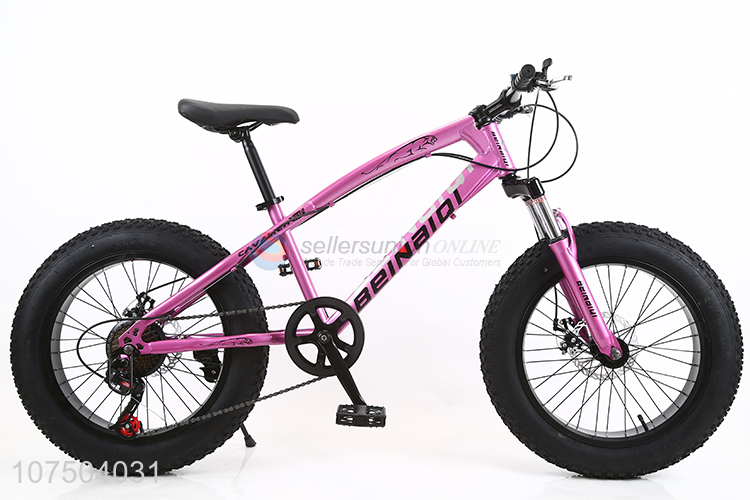 Good Quality 20 Inch Full Suspension Steel Frame Snow Bicycle