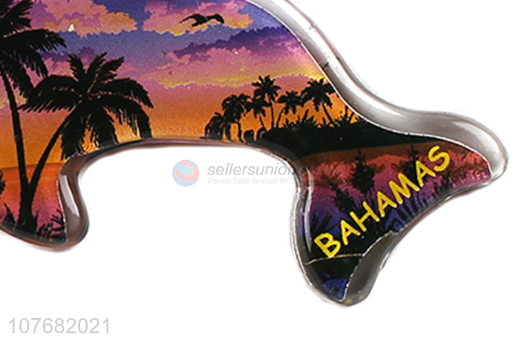 Good sale dolphin key chain acrylic keyring for souvenir
