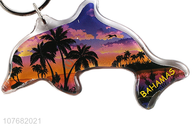 Good sale dolphin key chain acrylic keyring for souvenir