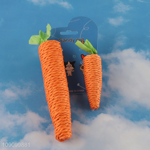 Good Quality 2PCS Carrot Shaped Scratch Resistant Cat Teething Toys