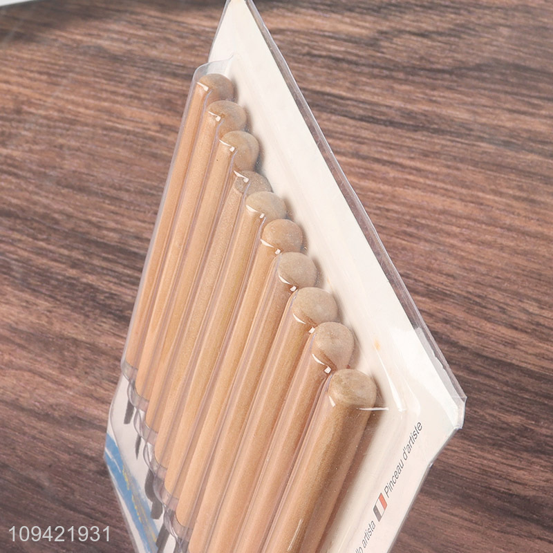 New arrival  10pcs professional carving knife set