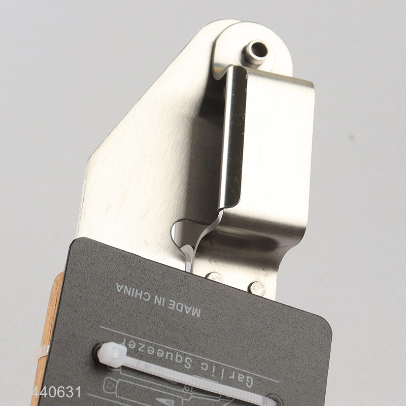 Best quality garlic press for crushing garlic and ginger