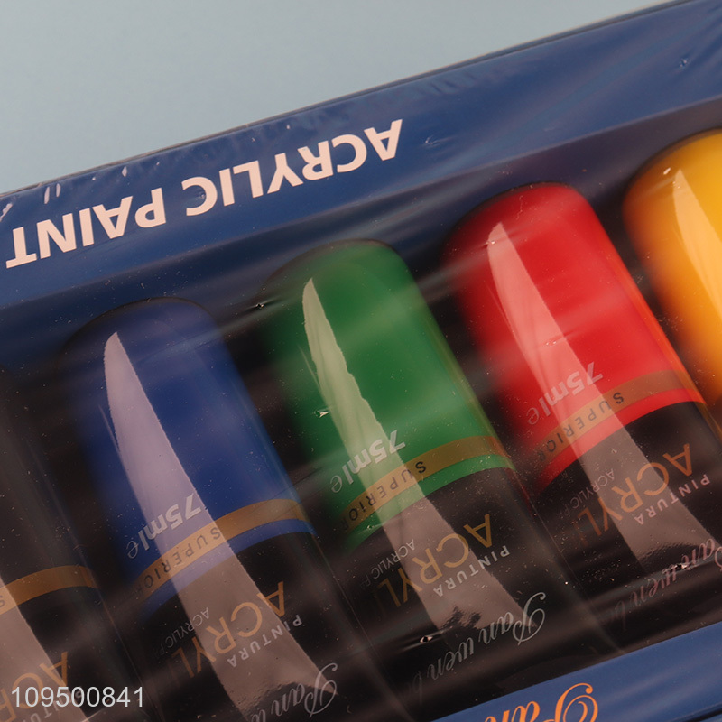 China products 6colors art acrylic paint set