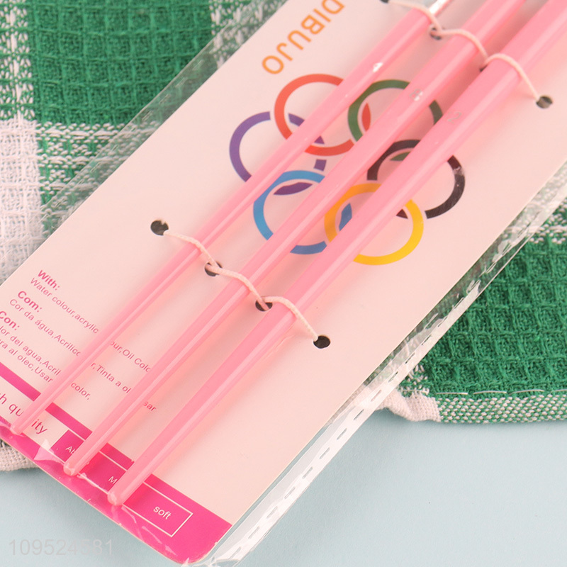 China supplier 3pcs paint brush set