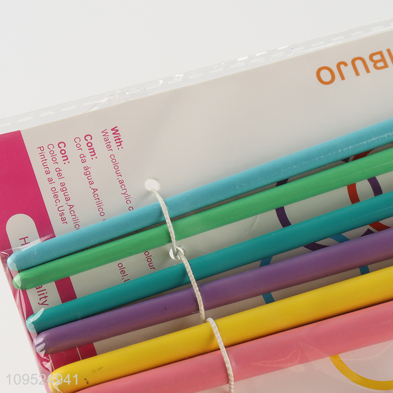 Low price 6pcs reusable art painting brush kit