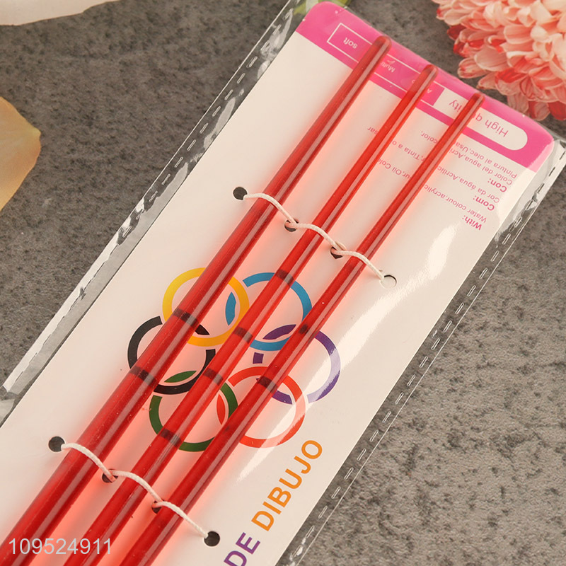 Hot selling 3pcs paint brush set for kids adult